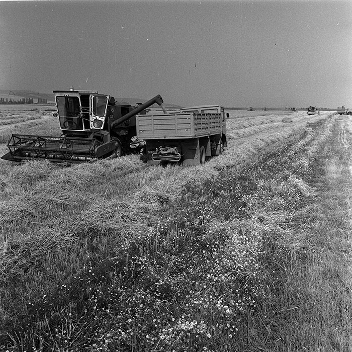 minerva_Agrar_c1_c2r3_031