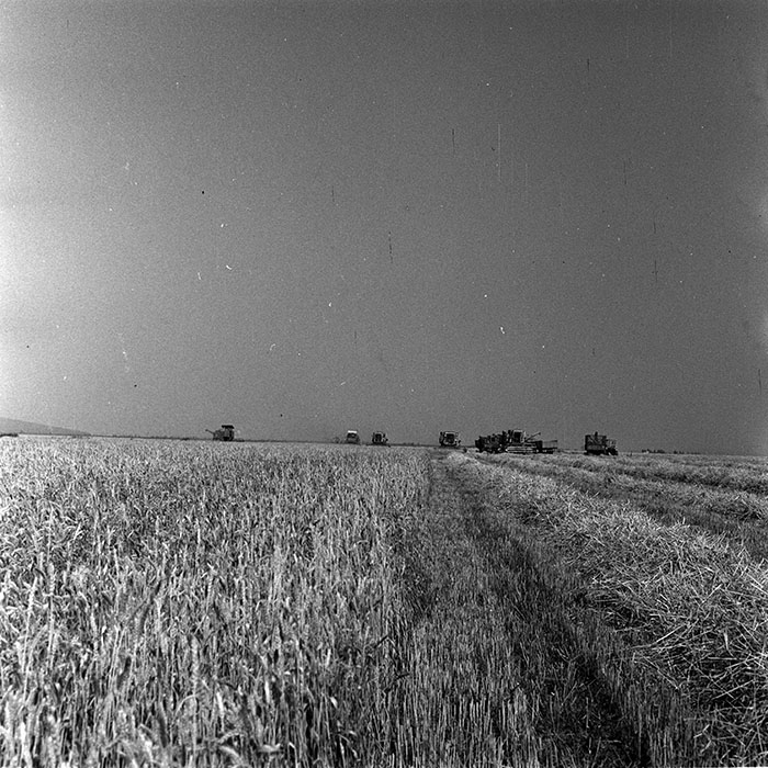 minerva_Agrar_c1_c2r3_032