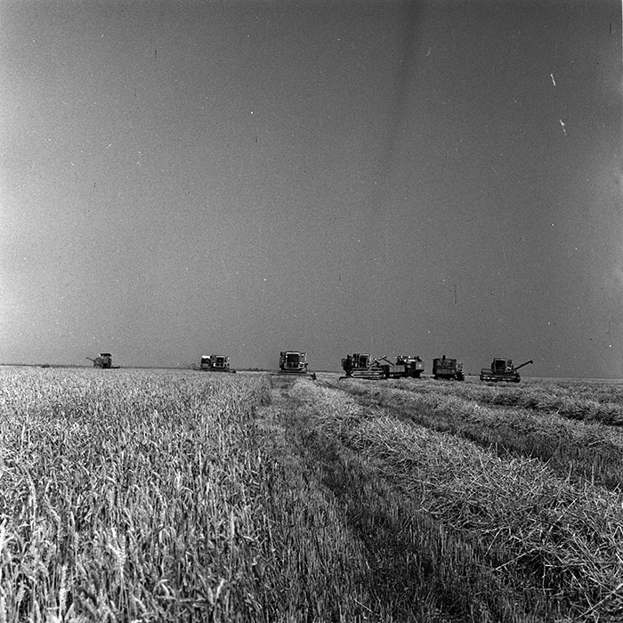 minerva_Agrar_c1_c2r3_033