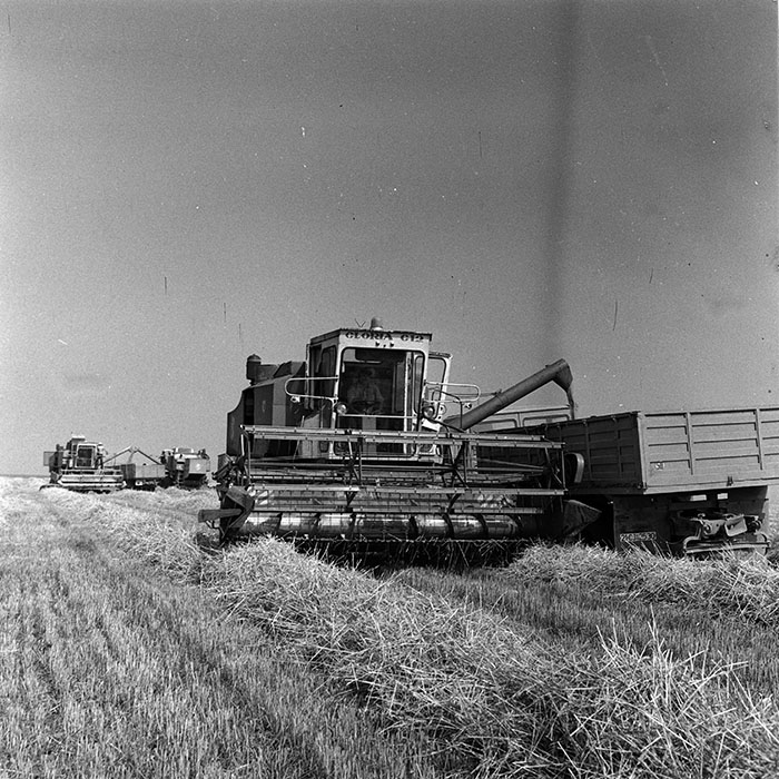 minerva_Agrar_c1_c2r3_036