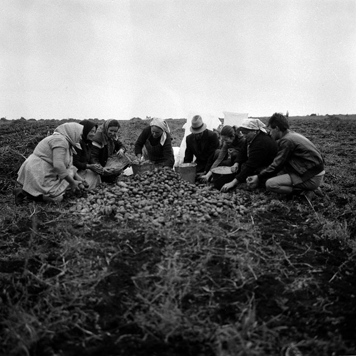 minerva_Agrar_c1_c2r4_005