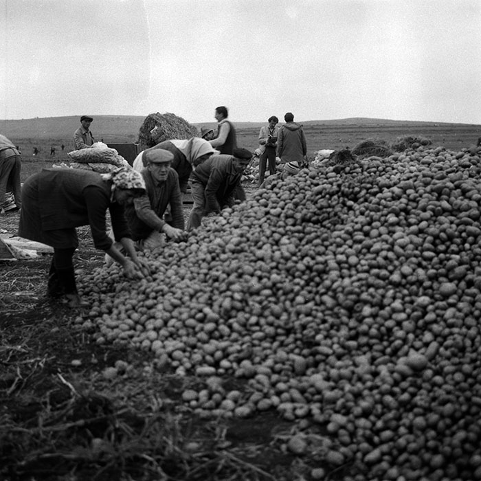 minerva_Agrar_c1_c2r4_006