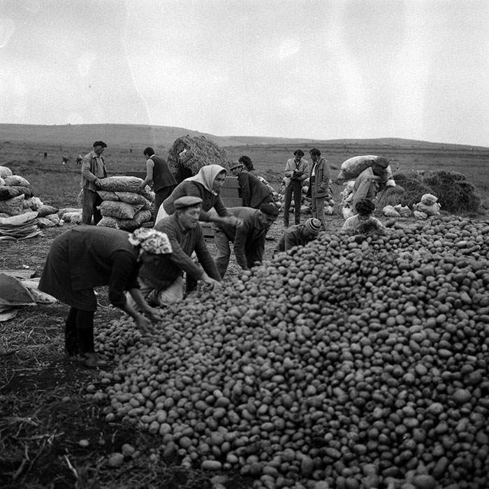 minerva_Agrar_c1_c2r4_007