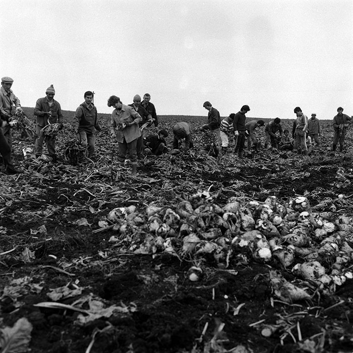 minerva_Agrar_c1_c2r4_008