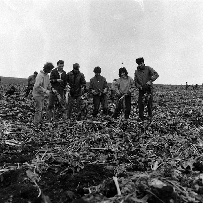 minerva_Agrar_c1_c2r4_010