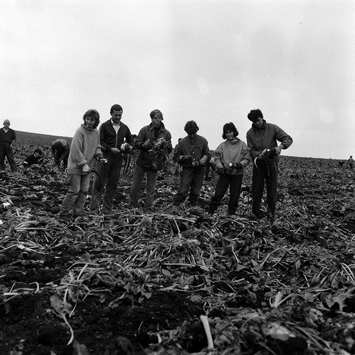 minerva_Agrar_c1_c2r4_011