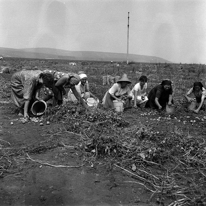 minerva_Agrar_c1_c2r4_014