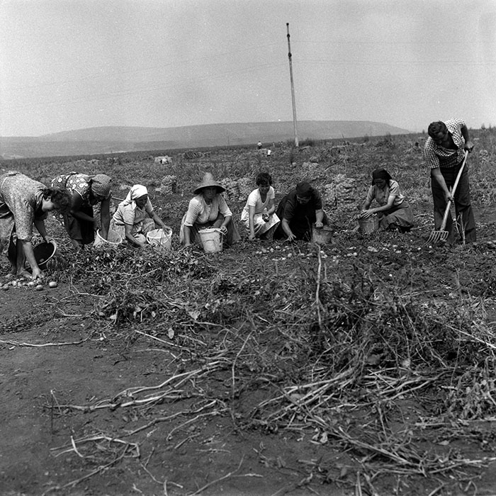 minerva_Agrar_c1_c2r4_015