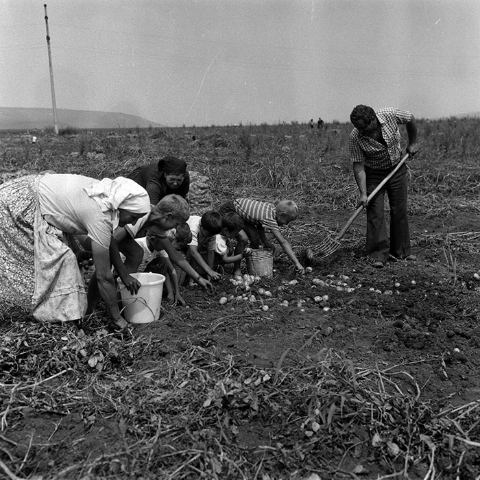 minerva_Agrar_c1_c2r4_016