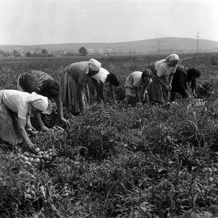 minerva_Agrar_c1_c2r4_017