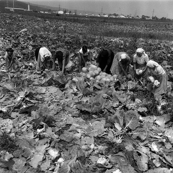 minerva_Agrar_c1_c2r4_020