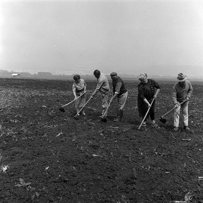 minerva_Agrar_c1_c2r5_007