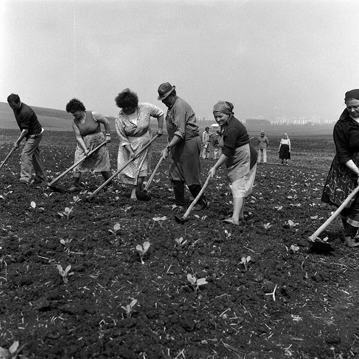 minerva_Agrar_c1_c2r5_009