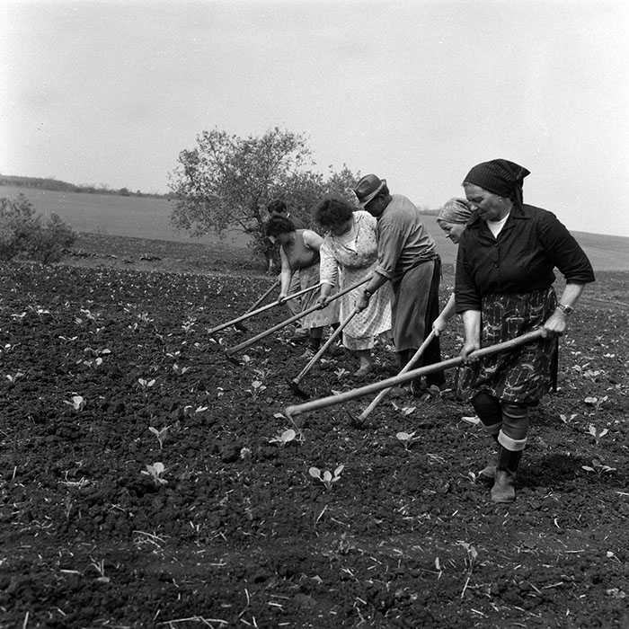 minerva_Agrar_c1_c2r5_010