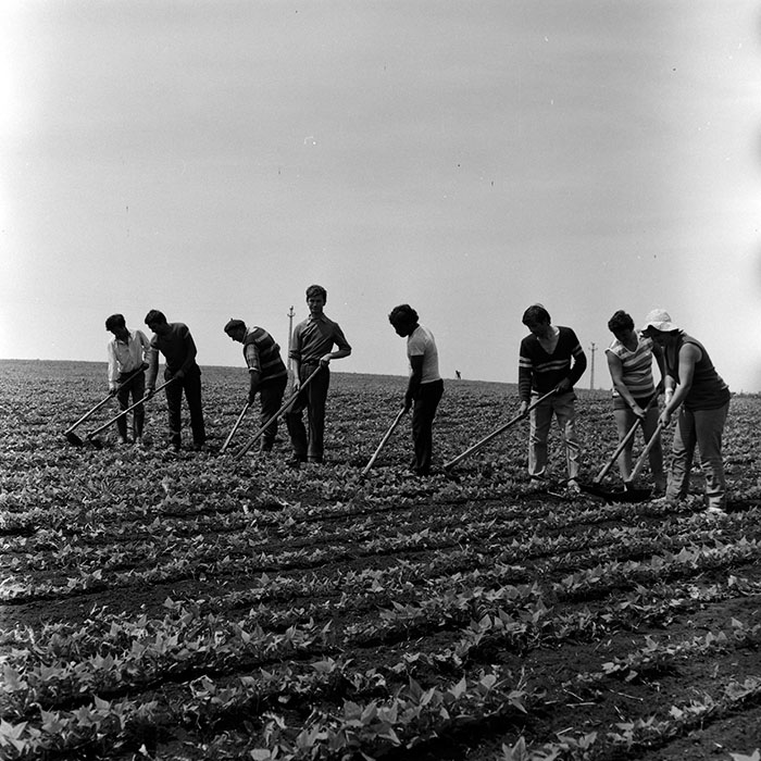 minerva_Agrar_c1_c2r5_015