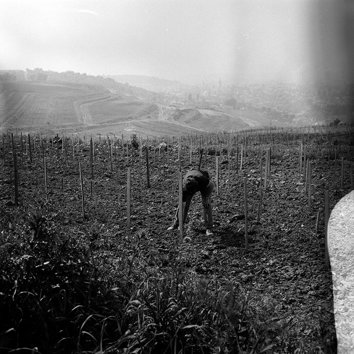 minerva_Agrar_c1_c2r5_024