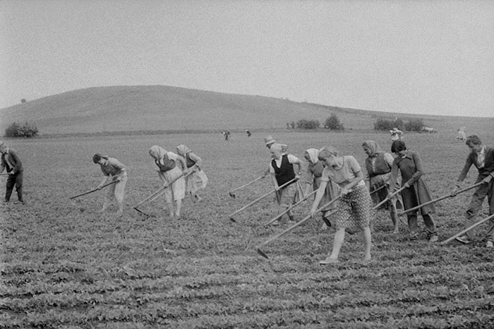 minerva_Agrar_c1_c2r5_032