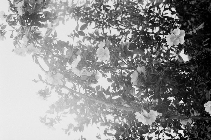 minerva_Agrar_c1_c2r5_034