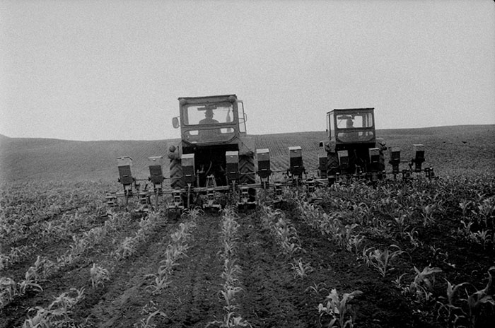 minerva_Agrar_c1_c2r5_036