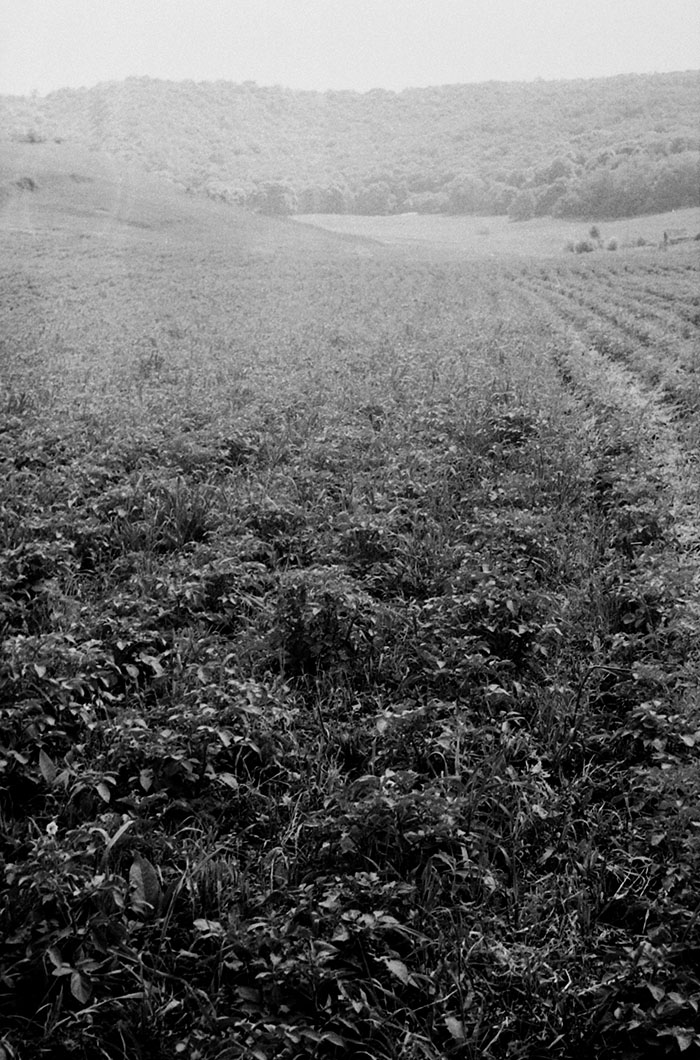 minerva_Agrar_c1_c2r5_040