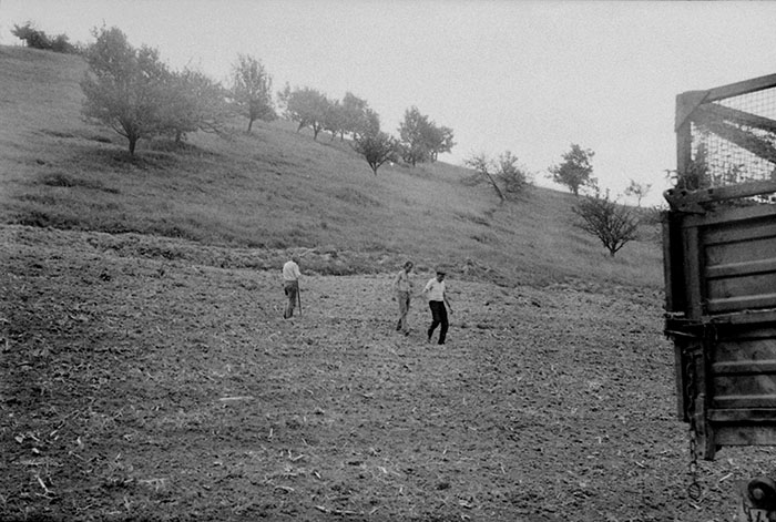 minerva_Agrar_c1_c2r5_045