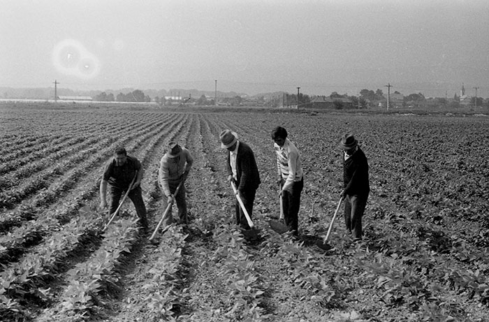 minerva_Agrar_c1_c2r5_048