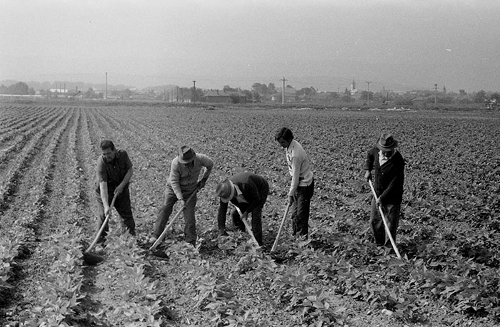 minerva_Agrar_c1_c2r5_049