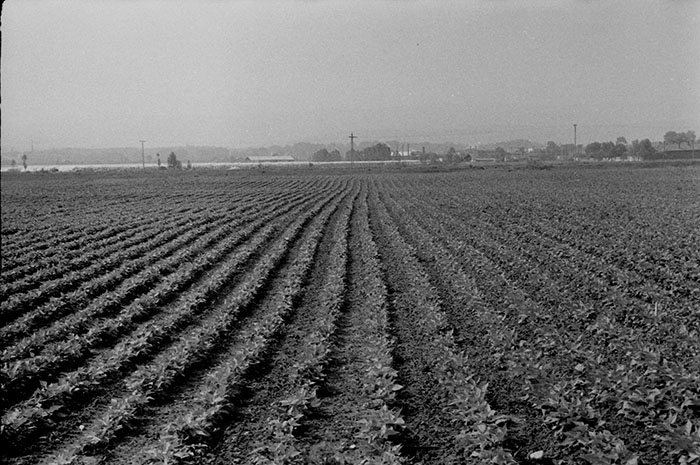 minerva_Agrar_c1_c2r5_053