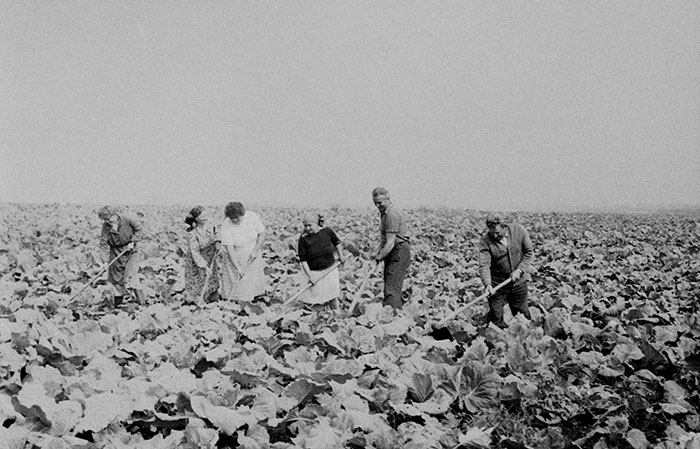 minerva_Agrar_c1_c2r5_054