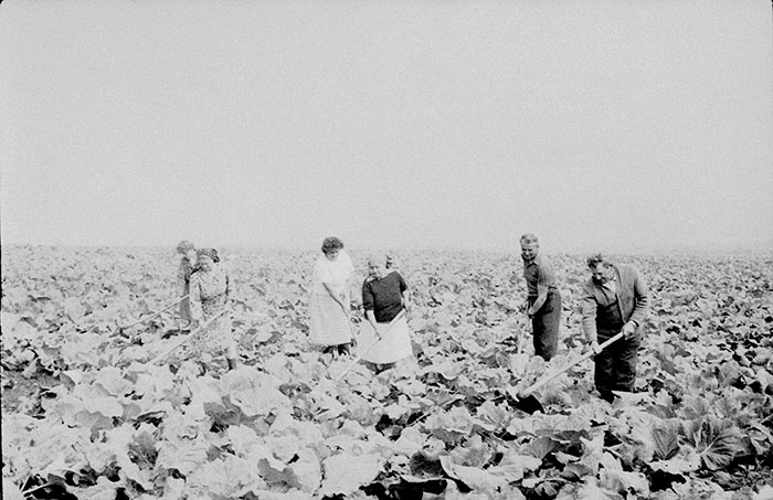 minerva_Agrar_c1_c2r5_056