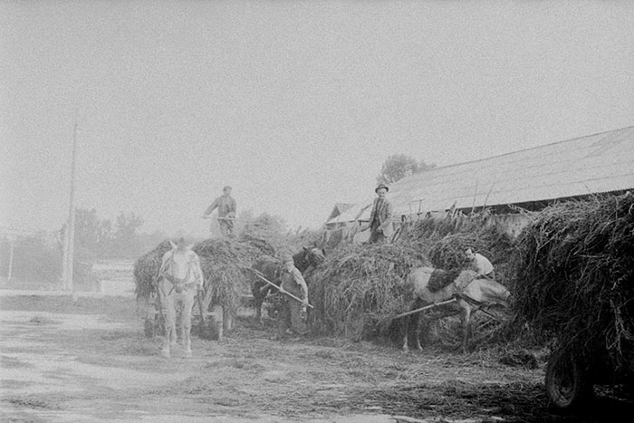 minerva_Agrar_c1_c2r5_058