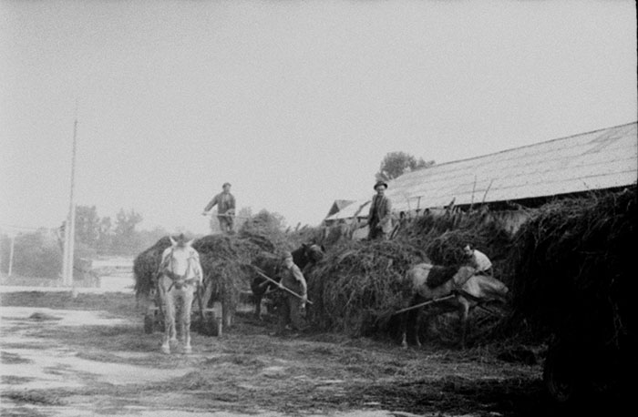 minerva_Agrar_c1_c2r5_059