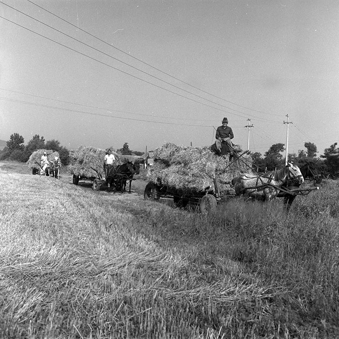 minerva_Agrar_c1_c3r1_001