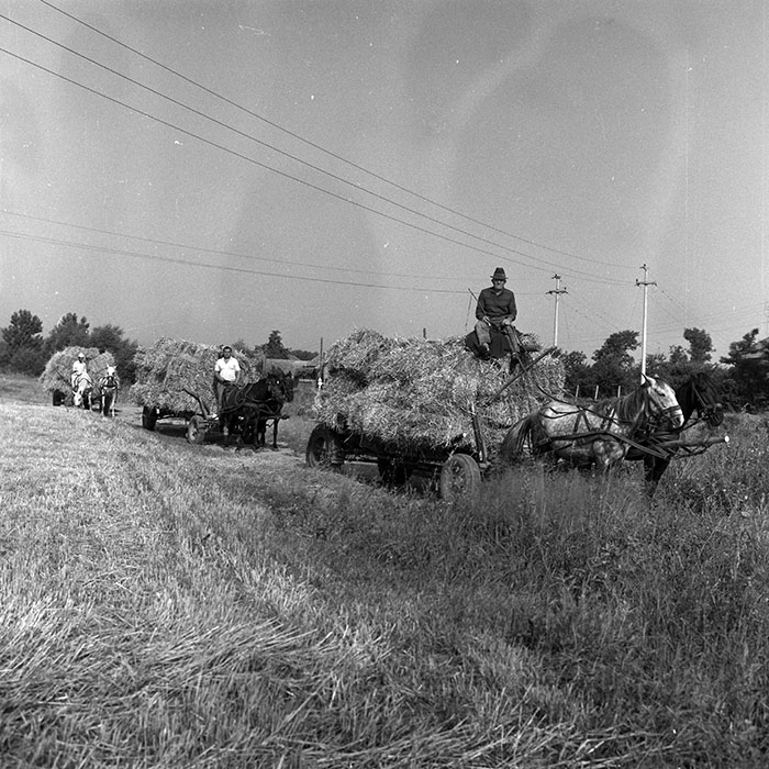 minerva_Agrar_c1_c3r1_002