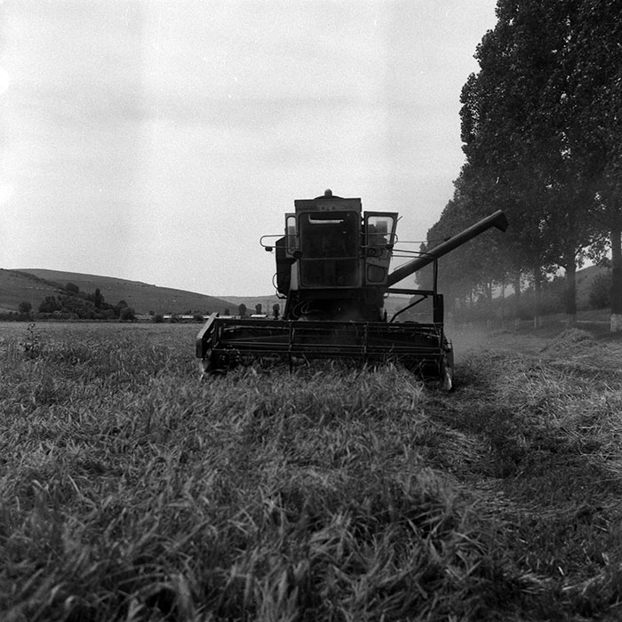 minerva_Agrar_c1_c3r1_004