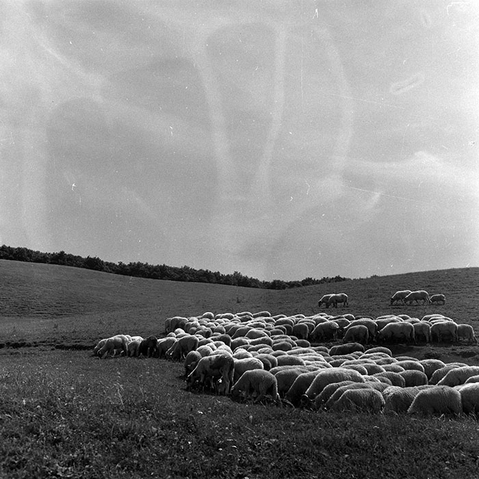 minerva_Agrar_c1_c3r1_005