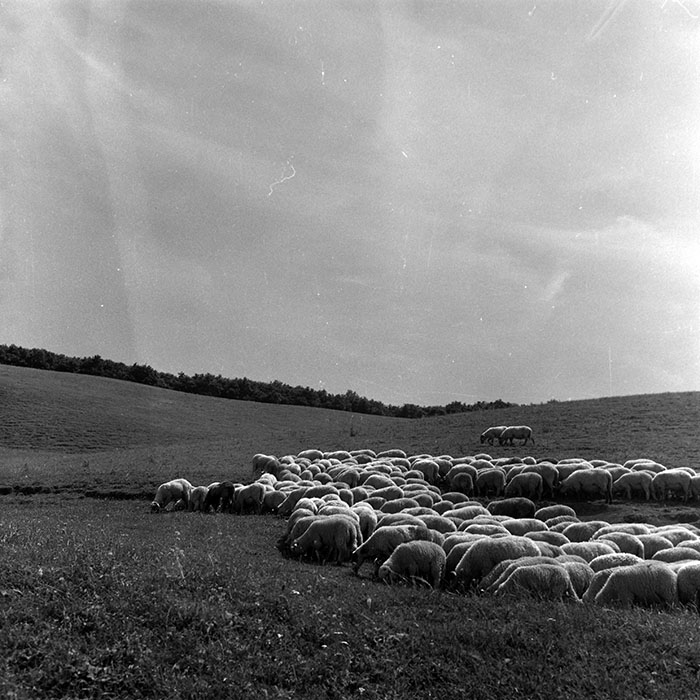 minerva_Agrar_c1_c3r1_006