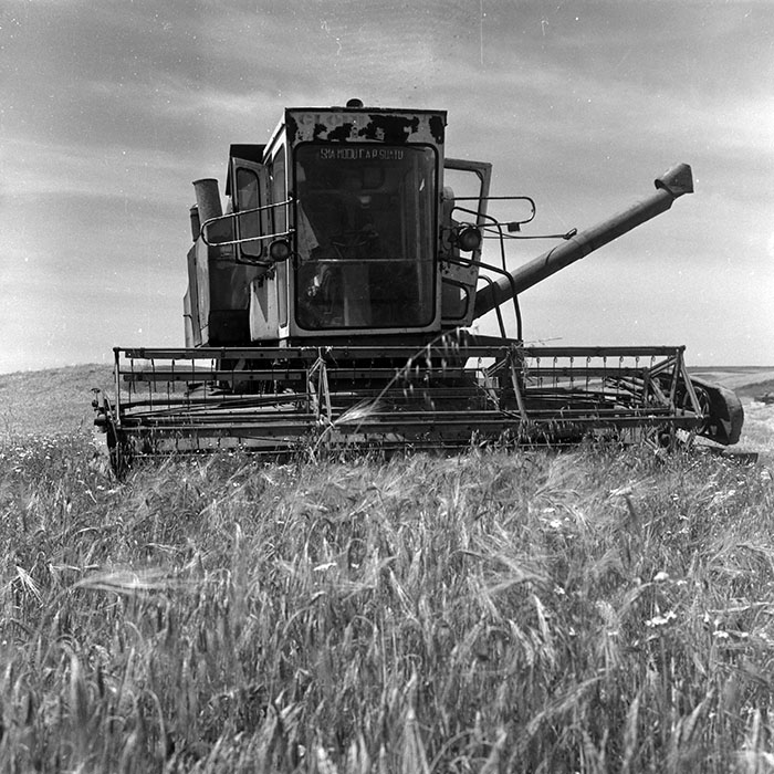 minerva_Agrar_c1_c3r1_007