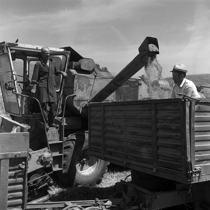 minerva_Agrar_c1_c3r1_008