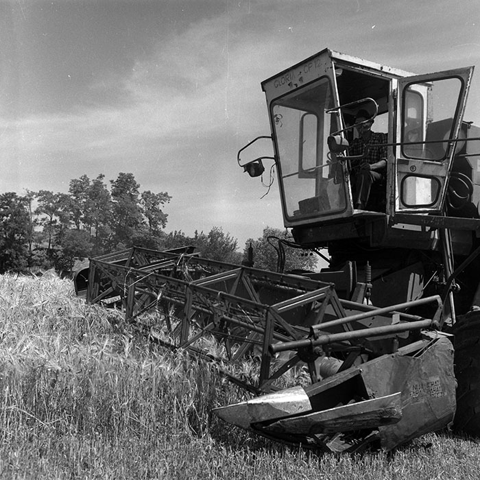 minerva_Agrar_c1_c3r1_009