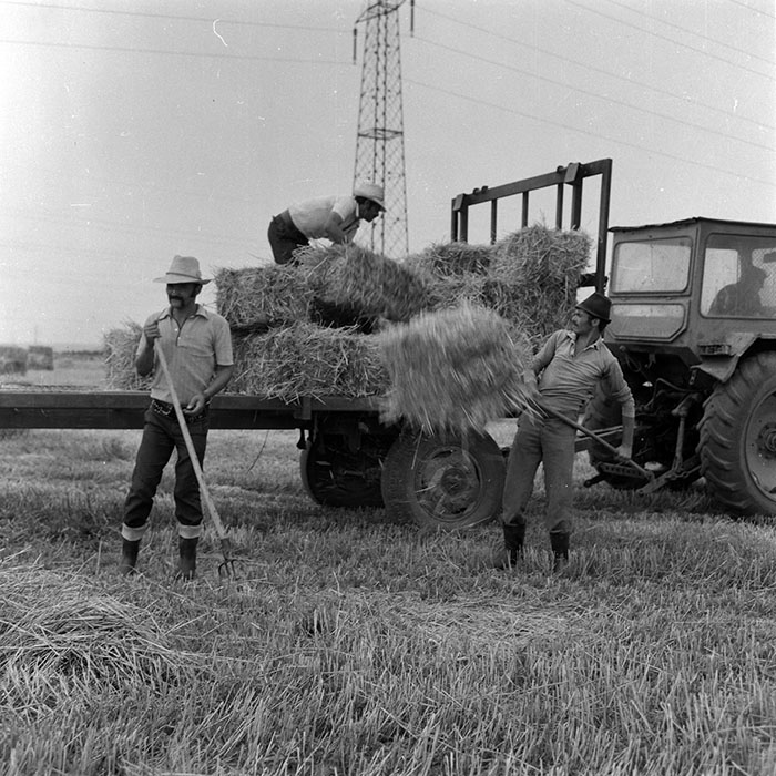 minerva_Agrar_c1_c3r1_012