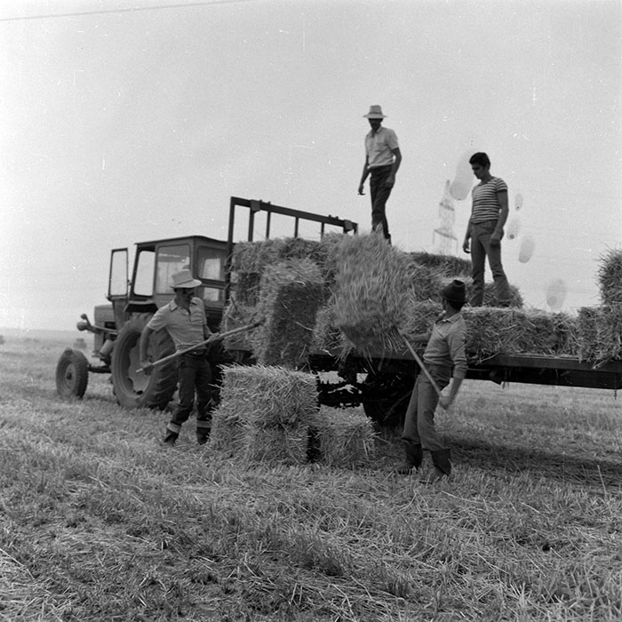 minerva_Agrar_c1_c3r1_013