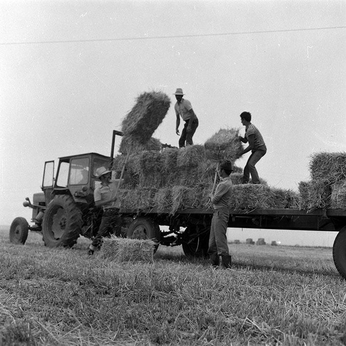 minerva_Agrar_c1_c3r1_014