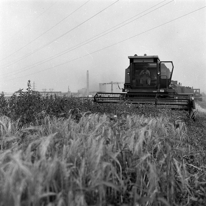 minerva_Agrar_c1_c3r1_015