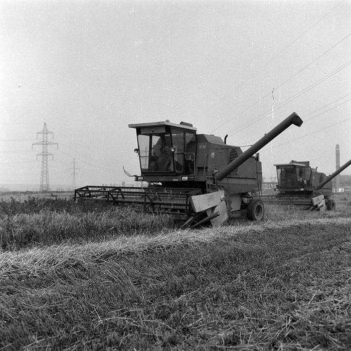 minerva_Agrar_c1_c3r1_016