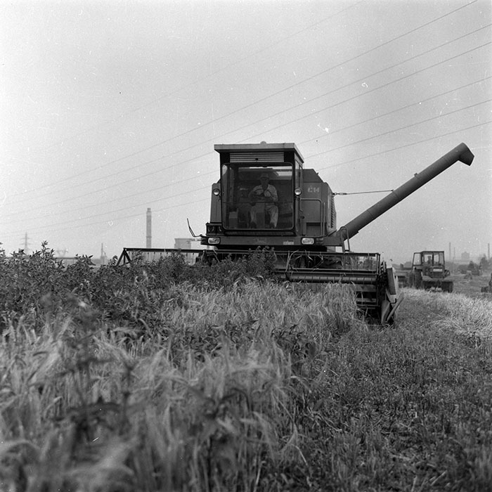 minerva_Agrar_c1_c3r1_017