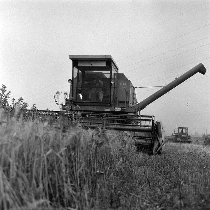 minerva_Agrar_c1_c3r1_018