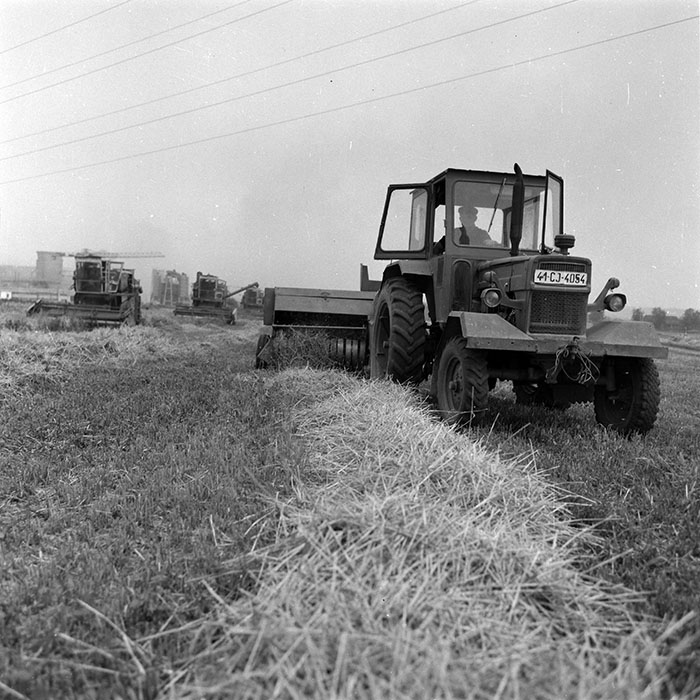 minerva_Agrar_c1_c3r1_019