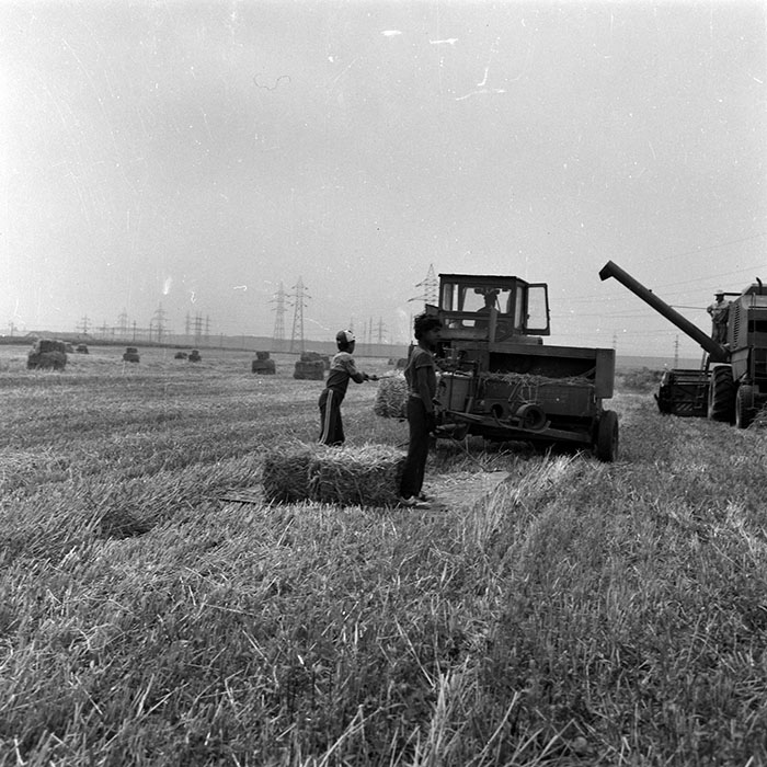 minerva_Agrar_c1_c3r1_020