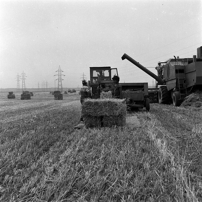 minerva_Agrar_c1_c3r1_021